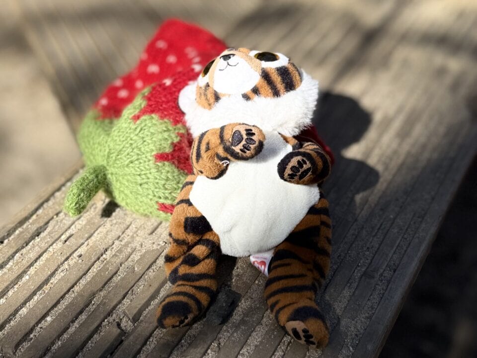 Stofftiger mit roter gestrickter Erdbeere auf Holzbank, symbolisiert Abschied und Weitblick in der Natur, von Carmen Müller für 'Abschied mit Weitblick'.